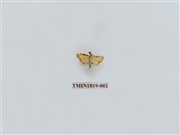 藏品(水稻害蟲)的圖片